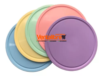 PLATO PARA ASADO REFORZADO COLORES