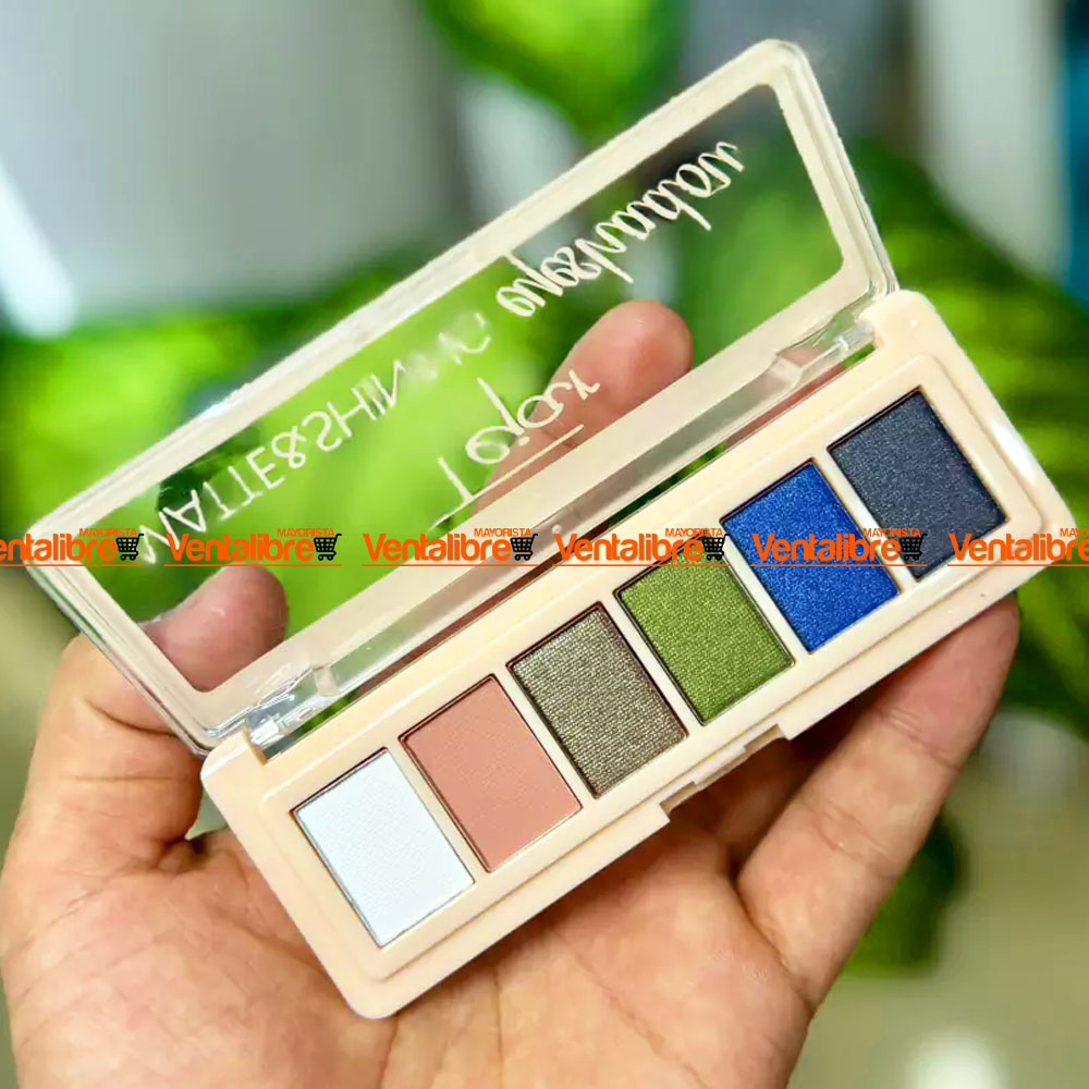 PALETA DE SOMBRAS BRILLANTES Y MATES X 6 COLORES