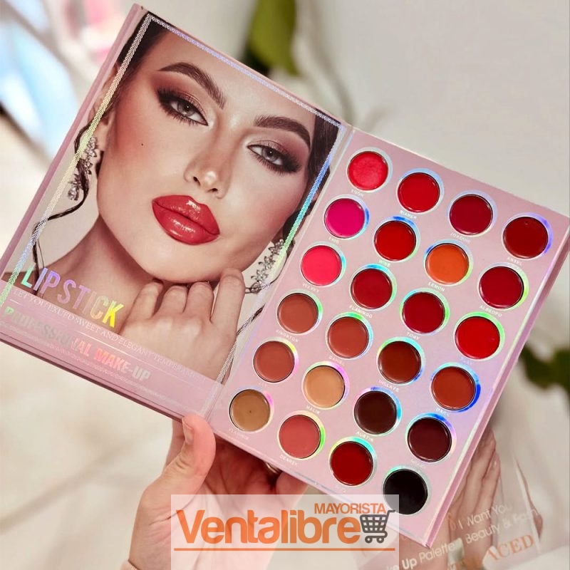 PALETA DE MAQUILLAJES X 5 LIBROS MULTICOLOR X 67 COLORES