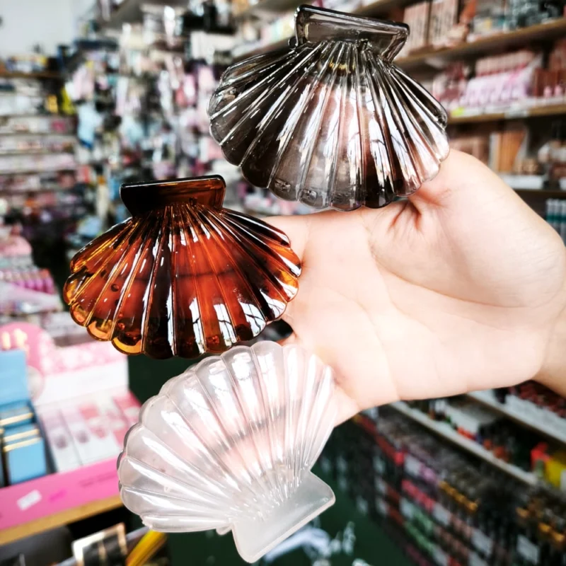 BROCHE GRANDE PARA EL PELO COLORES